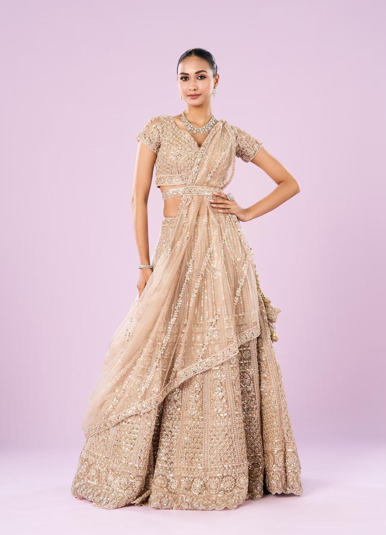 Exquisite Fawn Net Bridal Lehenga