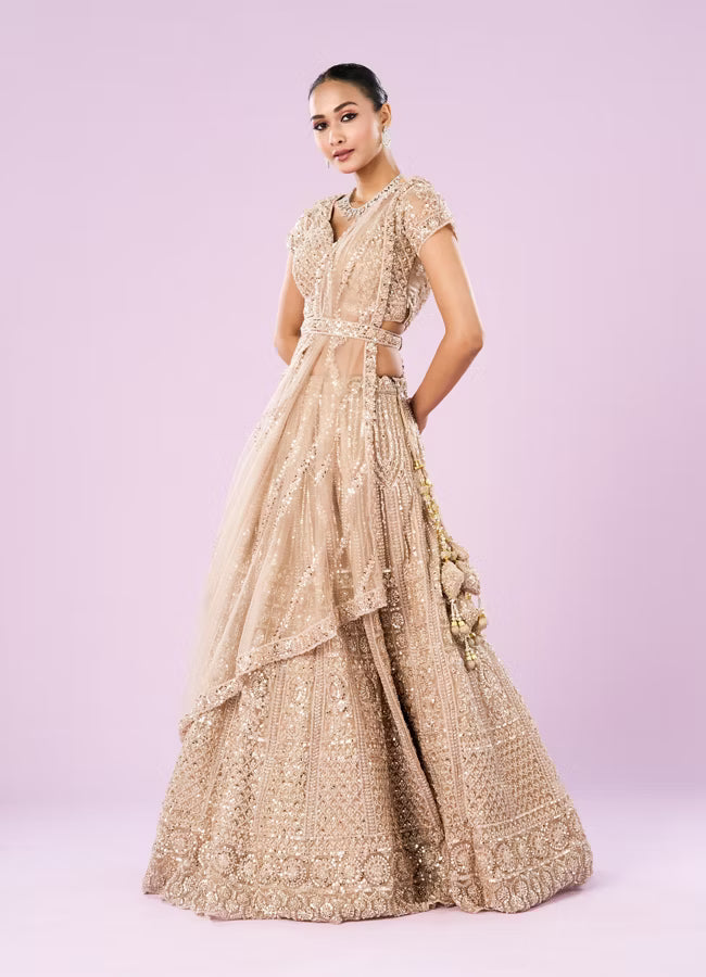 Exquisite Fawn Net Bridal Lehenga