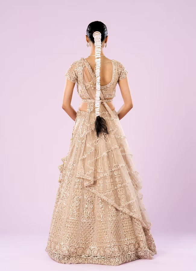 Exquisite Fawn Net Bridal Lehenga
